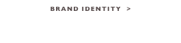 Brand Identity  >
